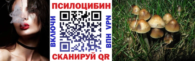 Купить  Анжеро-Судженск  Псилоцибиновые грибы Psilocybine cubensis 
